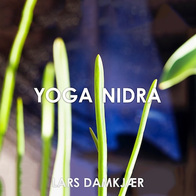 Yoga Nidra – omslag til lydbogen af Lars Damkjær