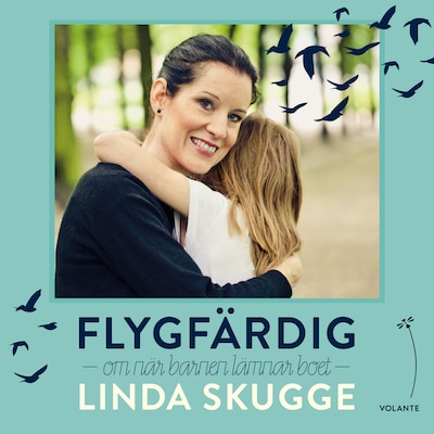 Flygfärdig