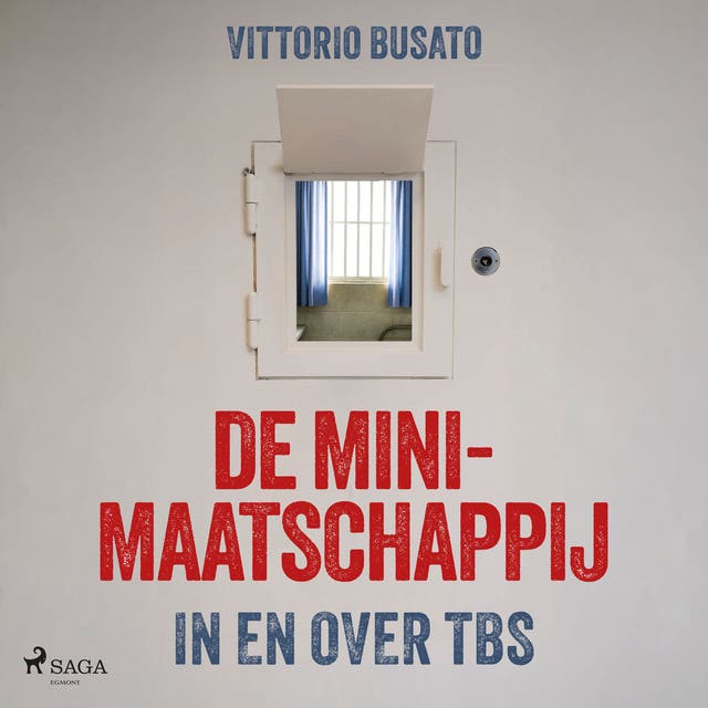 De minimaatschappij: In en over TBS: In en over TBS