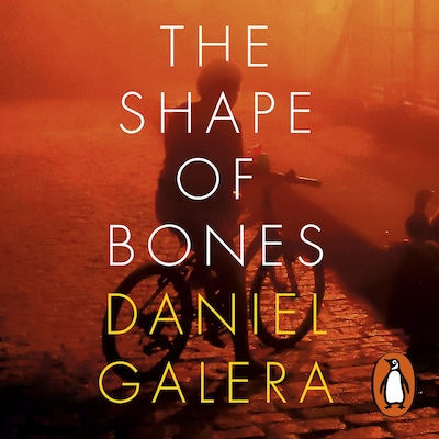 The Shape of Bones – omslag til lydbogen af Daniel Galera