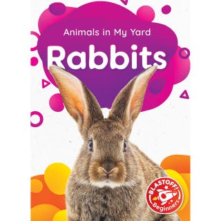 Rabbits – omslag till ljudboken av Amy McDonald