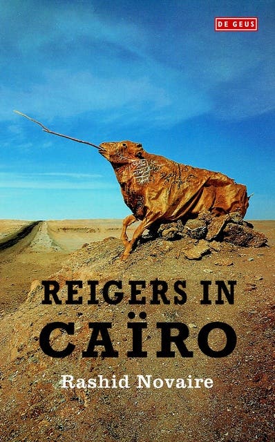 Reigers in Cairo: verhalen – omslag van het luisterboek van Rashid Novaire