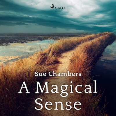 A Magical Sense – omslag van het luisterboek van Sue Chambers