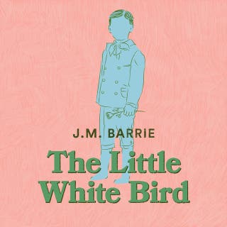 The Little White Bird