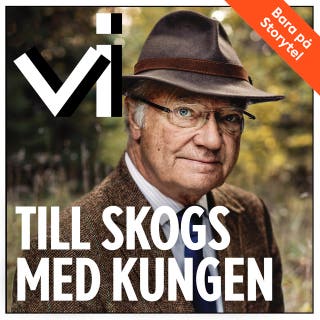 Till skogs med kungen