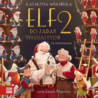 Elf do zadań specjalnych 2 – okładka audiobooka, autor Katarzyna Wierzbicka
