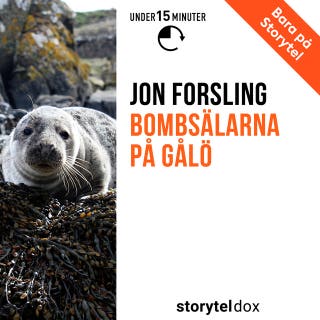 Bombsälarna på Gålö