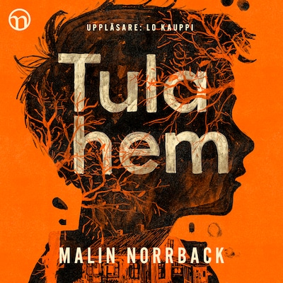 Tula hem