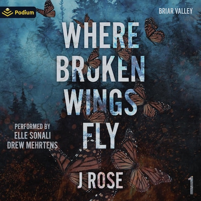 Where Broken Wings Fly – omslag til lydbogen af J Rose