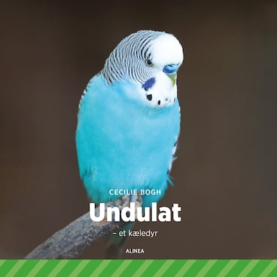 Undulat - et kæledyr – omslag til lydbogen af Cecilie Bogh