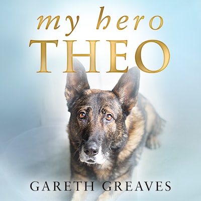 My Hero Theo