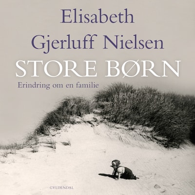 Store børn – omslag til lydbogen af Elisabeth Gjerluff Nielsen