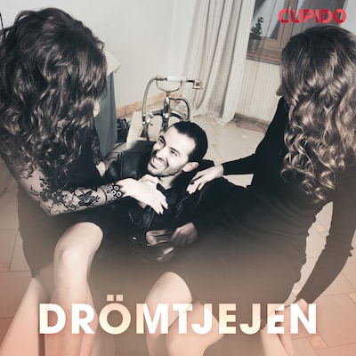 Drömtjejen - erotiska noveller