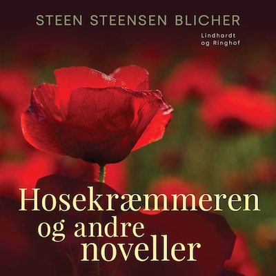 Hosekræmmeren og andre noveller – omslag til lydbogen af Steen Steensen Blicher