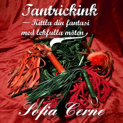Tantrickink - Kittla din fantasi med lekfulla möten