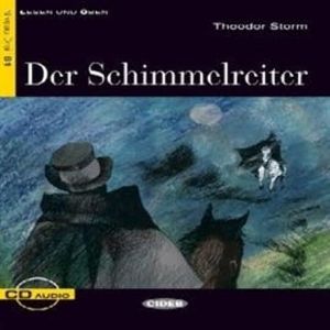 Der Schimmelreiter – okładka audiobooka, autor Theodor Storm