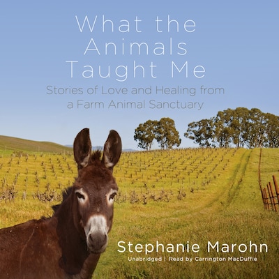 What the Animals Taught Me – omslag til lydbogen af Stephanie Marohn