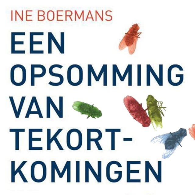 Een opsomming van tekortkomingen – omslag van het luisterboek van Ine Boermans