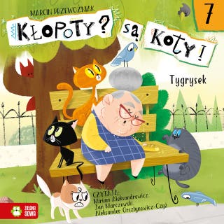 Kłopoty? Są koty! Tygrysek – okładka audiobooka, autor Marcin Przewoźniak