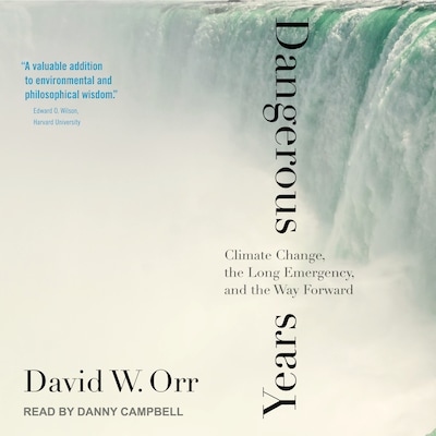 Dangerous Years – omslag til lydbogen af David W. Orr
