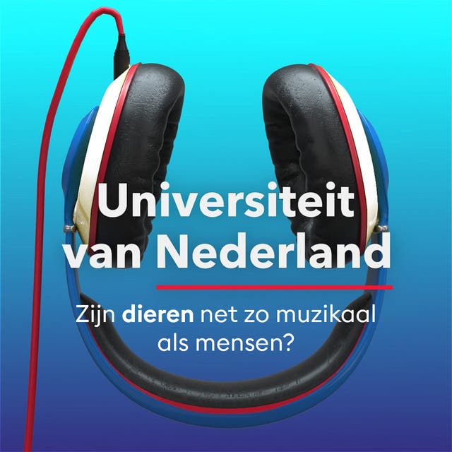 Zijn dieren net zo muzikaal als mensen? – omslag van het luisterboek van Henkjan Honing