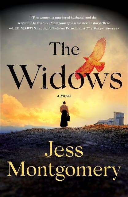 The Widows: A Novel – omslag til lydbogen af Jess Montgomery