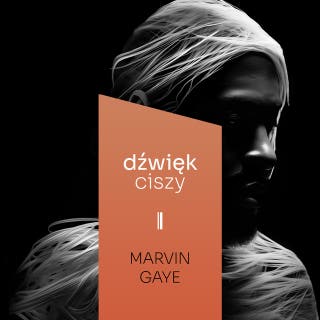 Marvin Gaye – okładka audiobooka, autor Justyna Mazur