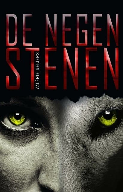 De negen stenen – omslag van het luisterboek van Valerie Reijers