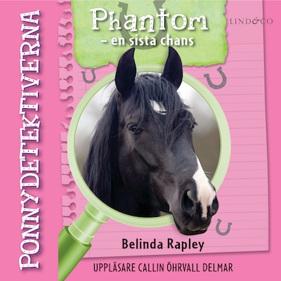 Ponnydetektiverna. Phantom - en sista chans