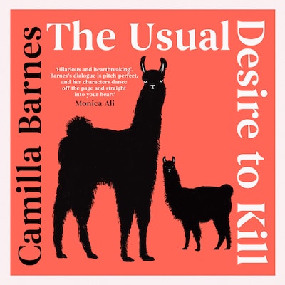 The Usual Desire to Kill – omslag til lydbogen af Camilla Barnes
