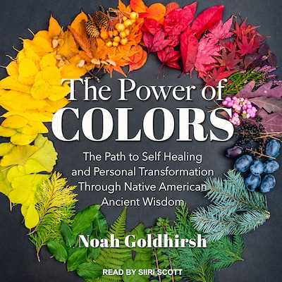 The Power of Colors – omslag til lydbogen af Noah Goldhirsh