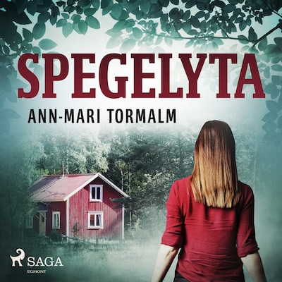 Spegelyta