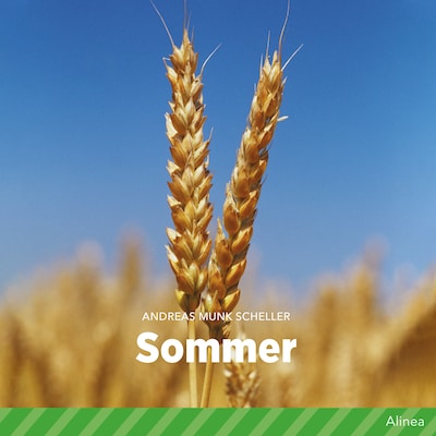 Sommer – omslag til lydbogen af Andreas Munk Scheller