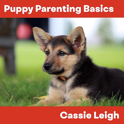 Puppy Parenting Basics – omslag til lydbogen af Cassie Leigh