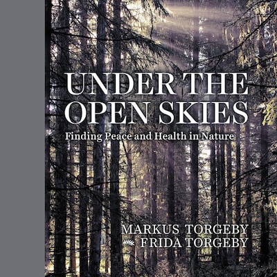 Under the Open Skies