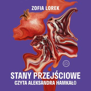 Stany przejściowe – okładka audiobooka, autor Zofia Lorek