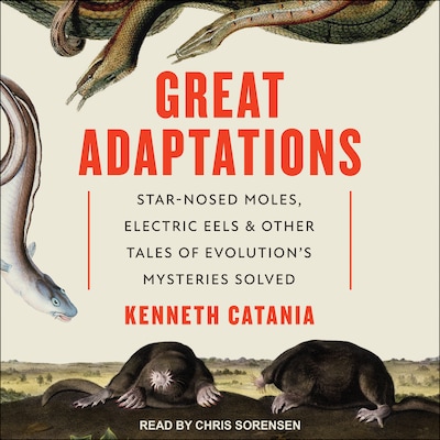 Great Adaptations – omslag til lydbogen af Kenneth Catania