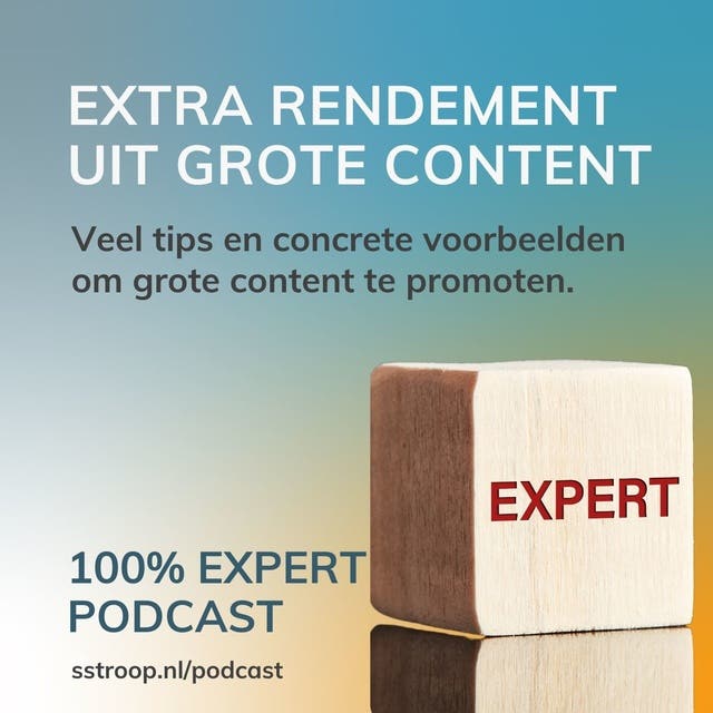 Extra rendement uit grote content: Veel tips en voorbeelden om grote content te promoten