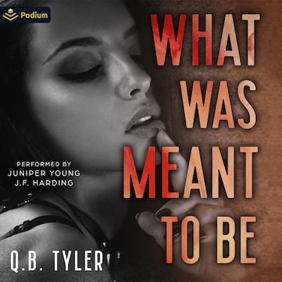 What Was Meant to Be – omslag til lydbogen af Q.B. Tyler