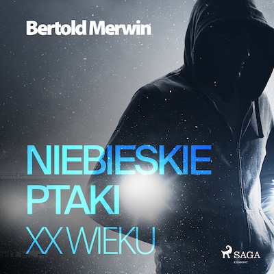 Niebieskie ptaki XX wieku – okładka audiobooka, autor Bertold Merwin