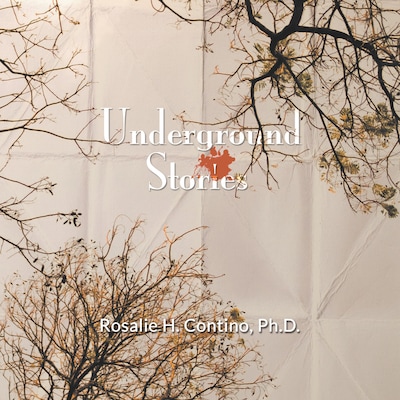 Underground Stories (Unabridged)
