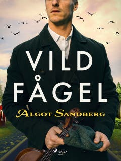 Vildfågel