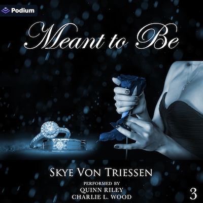 Meant to Be – omslag til lydbogen af Skye Von Triessen