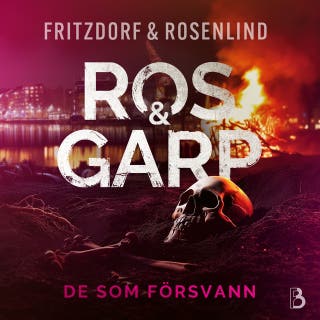 De som försvann – omslag till ljudboken av Johan Rosenlind,Lotta Fritzdorf
