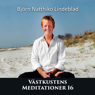 Västkusten Meditationer 16