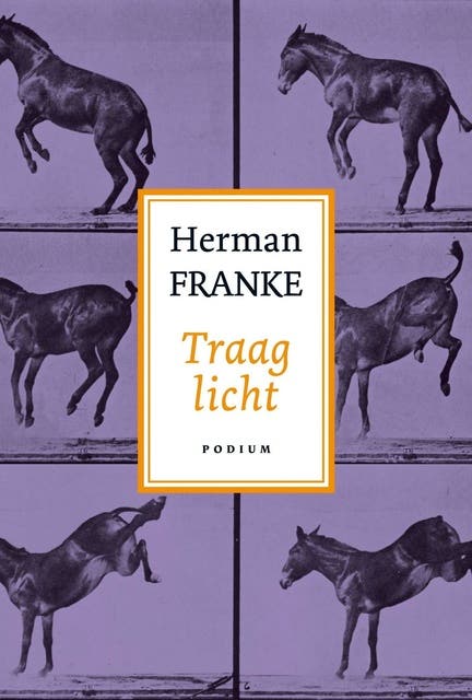 Traag licht – omslag van het luisterboek van Herman Franke