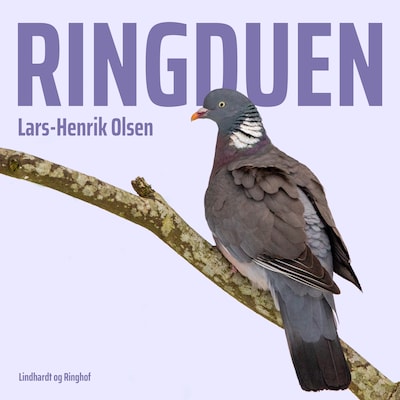 Ringduen – omslag til lydbogen af Lars-Henrik Olsen