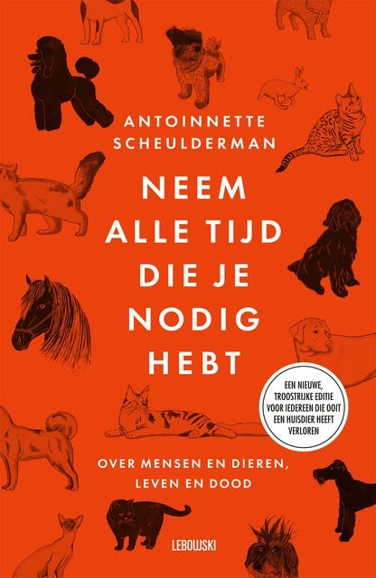 Neem alle tijd die je nodig hebt – omslag van het luisterboek van Antoinnette Scheulderman