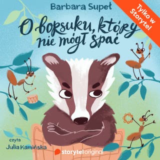O borsuku, który nie mógł spać – okładka audiobooka, autor Barbara Supeł