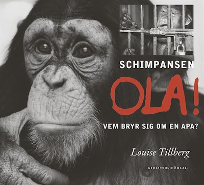 Schimpansen Ola! Vem bryr sig om en apa? – omslag till ljudboken av Louise Tillberg